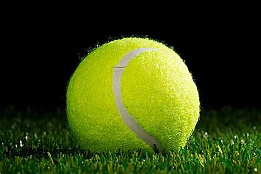 快速反应的 快速反应的