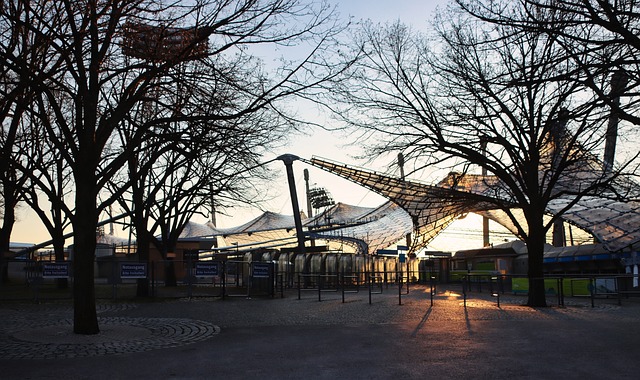 焦点球员的 焦点球员的