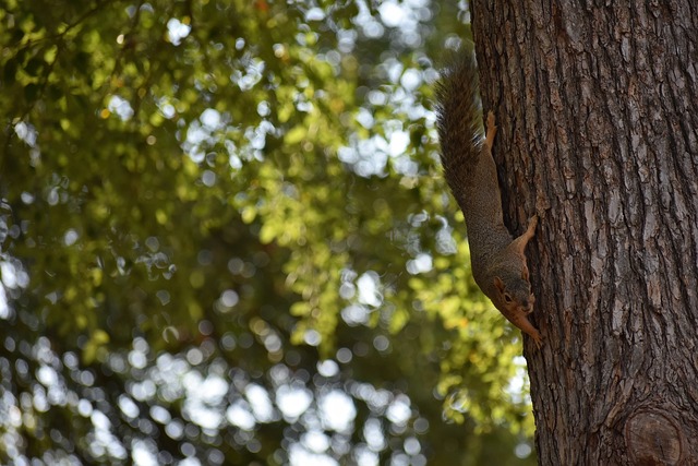 并签署了一 并签署了一