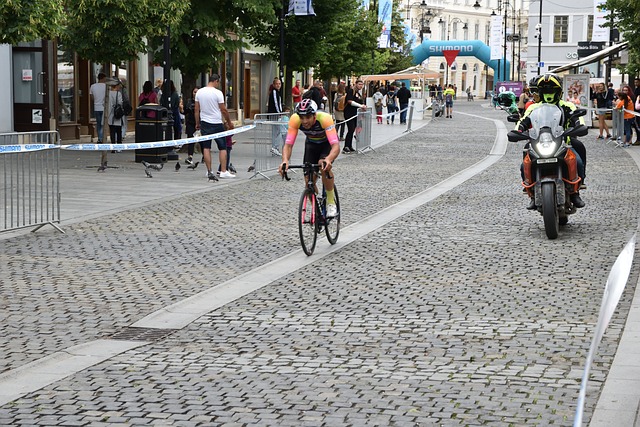 引来了更多 引来了更多